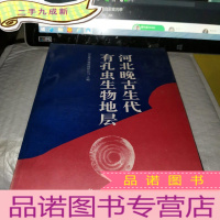 正 九成新河北晚古生代有孔虫生物地层