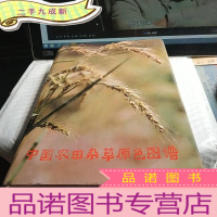 正 九成新中国农田杂草原色图谱