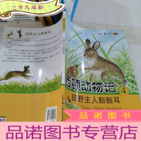 正 九成新田野主人豁豁耳