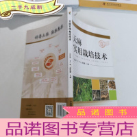正 九成新天麻实用栽培技术