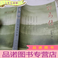 正 九成新野马传