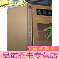 正 九成新贵阳市志.铝工业志