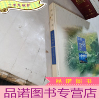 正 九成新深圳园林深圳景观