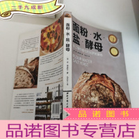 正 九成新面粉水盐酵母:手工制作面包和比萨的基础