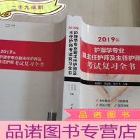 正 九成新2019年护理学专业副主任护师及主任护师考试复习全书