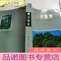 正 九成新贵州植被