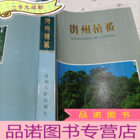 正 九成新贵州植被