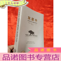 正 九成新灰犀牛——如何应对大概率危机 [小16开]