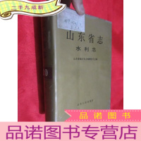 正 九成新山东省志:水利志 (大32开,)