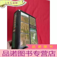 正 九成新中国名胜索引 [32开,硬]