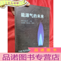 正 九成新能源气的未来 [16开,硬]