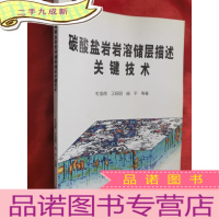 正 九成新碳酸盐岩岩溶储层描述关键技术[16开]
