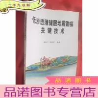 正 九成新低渗透薄储层地震勘探关键技术[16开]