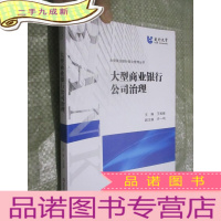 正 九成新大型商业银行公司治理 (大型商业银行综合管理丛书) 16开