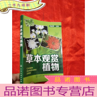 正 九成新草本观赏植物