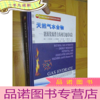 正 九成新天然气水合物:能源资源潜力及相关地质风险 (16开,)