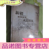 正 九成新新疆前陆盆地成油特征 (大16开,)