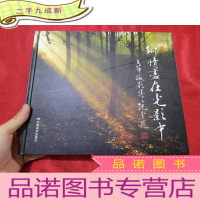 正 九成新乡情尽在光影中 : 王苹摄影集[12开,硬]