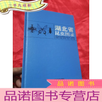 正 九成新湖北省昆虫图录 (16开,)