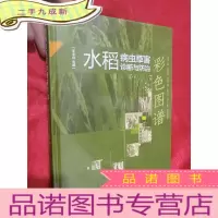 正 九成新水稻病虫草害诊断与防治彩色图谱[16开,硬]
