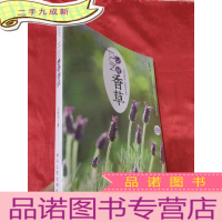正 九成新FUN心玩香草——在阳台营造一座香草梦花园 [大16开],全新未开封