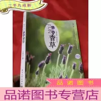 正 九成新FUN心玩香草——在阳台营造一座香草梦花园 [大16开]