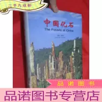 正 九成新中国化石 (中英文对照) 大16开,