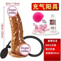 充气阳具肛塞女用男用后庭肛扩器超大粗膨胀假茎扩大扩肛器 充气阳具【棕色】套餐八