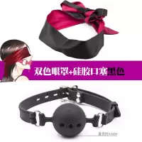 SM情趣眼罩夫妻调情深喉男女用绑手性感捆绑激情挑逗面具诱惑遮光 双色眼罩+硅胶小号口塞黑色