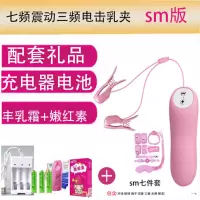 成人女性情趣用品电击乳夹跳蛋夹胸部按摩自慰器唇夹sm脉冲 电击震动乳夹+配套礼品+充电电池+充电器+sm七件套