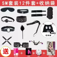 sm情趣套装工具皮鞭夫妻激情性用品捆绳玩具惩罚乳夹道具用具做爱 十二件套【送4礼】+收纳袋+捆绑教程