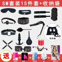 sm情趣套装工具皮鞭夫妻激情性用品捆绳玩具惩罚乳夹道具用具做爱 十五件套【送5礼】+收纳袋+捆绑教程