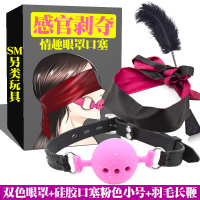 SM情趣眼罩夫妻调情深喉男女用绑手性感捆绑激情挑逗面具诱惑遮光 双色眼罩+硅胶小号口塞粉色+羽毛鞭