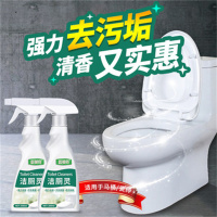 500ml*2瓶洁厕灵强力去污除垢马桶清洁剂洁厕剂去异味瓷砖除垢