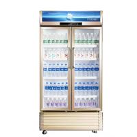 [官方正品 全国联保]星星(XINGX)610升立式冷柜商用展示柜对开门饮料柜冰柜风冷无霜侧开门