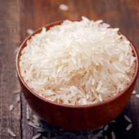 煲仔饭专用米丝苗米香米南方大米10斤农家长粒米籼米新米5kg