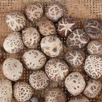 [大花菇250-500g]个大肉厚椴木花菇 香菇干货 干香菇 冬菇