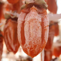 吊柿饼子500g1000g3斤5斤吊饼非富平柿饼