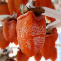 农家自制降霜柿饼3斤吊霜柿饼吊柿饼圆柿饼软糯1500g