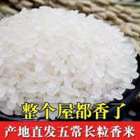 东北五常稻花香长粒香米10斤20斤新米五常产大米香米农家