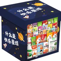 零食大礼包网红猪饲料一整箱好吃的送男女友生日休闲小吃批发