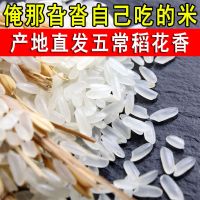 东北五常稻花香米新米20斤黑龙江大米10斤精品米稻香米