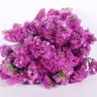 纯玫红色 40cm10支 满天星水晶情人干花花束勿忘我客厅装饰自然风干真花生日用花