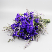 紫色勿忘我加情人草10支（不送花篮） 云南勿忘我干花花束家庭家居客厅装饰摆设鲜花风干真花插花干花束