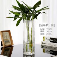 圆竖条1030(加厚加重) 简约加厚透明花瓶玻璃富贵竹水晶大号水培鲜花插花瓶客厅桌面家用