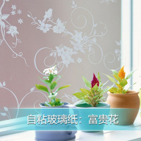 自粘玻璃贴富贵花 30cm宽X2米长 磨砂玻璃贴纸透光不透明浴室卫生间窗户贴纸阳台遮光窗花纸贴膜