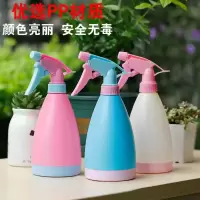 大号两用喷壶园艺浇花农药喷壶塑料洒水壶喷花壶喷花器喷水壶家用