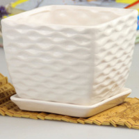 方波浪 小号 特大号陶瓷花盆白瓷花盆花瓶花盘带托盘景德镇品种大小全盆栽