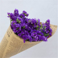 深紫色勿忘我 40cm10支 云南勿忘我干花花束真花永生花客厅卧室摆设满天星鲜花