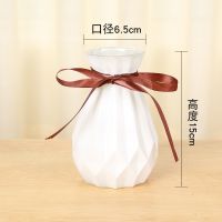 15宝石[送丝带]白色磨砂 花瓶插花透明玻璃家用北欧高款客厅装饰摆件水培干花小清新大花瓶
